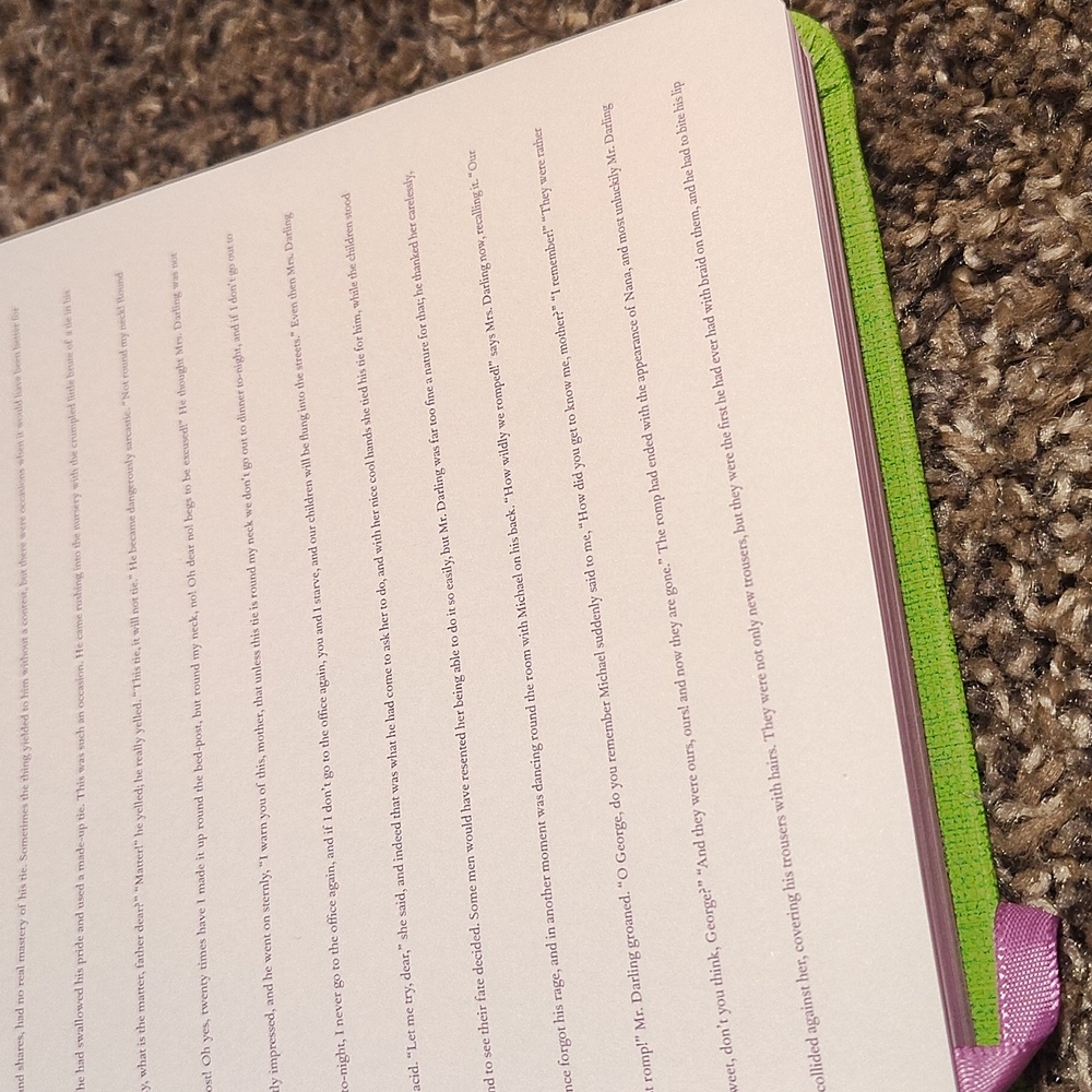 DesignWorks Ink Starry Beige Journal & A NOVEL JOURNAL PETER PAN BUNDLE LISTING - Picture 11 of 14